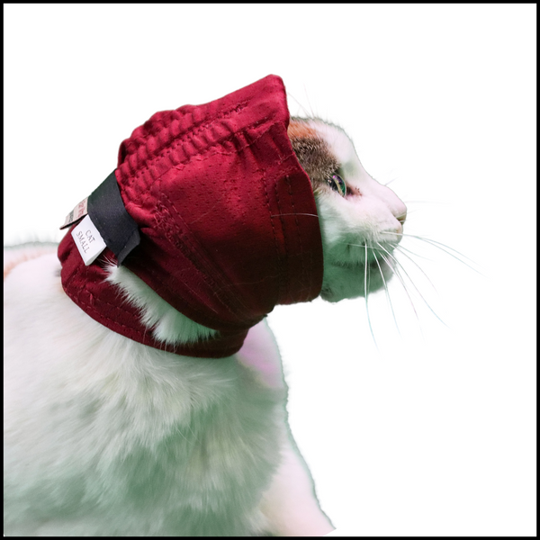 CAT No Flap Ear Wrap Pinpoint Mesh