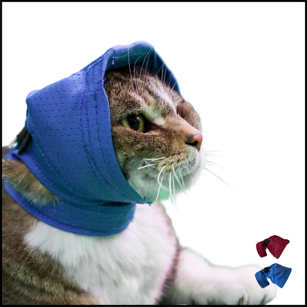 CAT No Flap Ear Wrap Pinpoint Mesh/ Pair Combo Kit