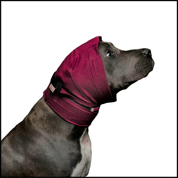 DOG No Flap Ear Wrap Pinpoint Mesh