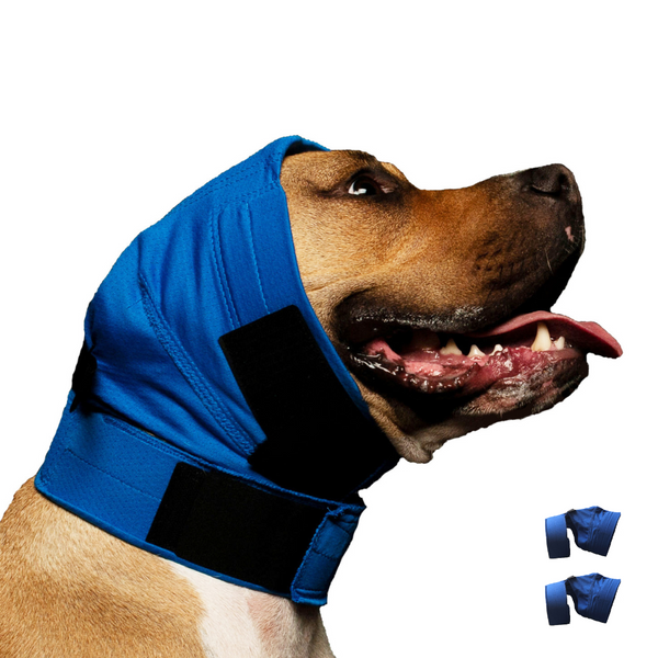 DOG No Flap Ear Wrap Pinpoint Mesh/Pair Combo Kit