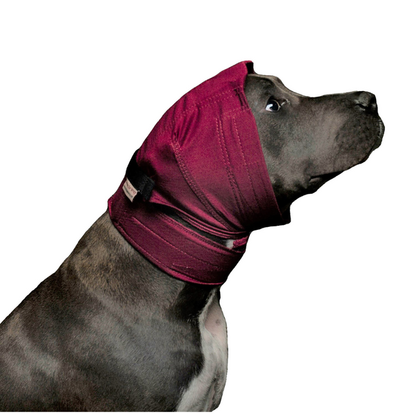 DOG No Flap Ear Wrap Pinpoint Mesh